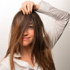 Matt Di Girolamo (@de3g) • Instagram photos and videos