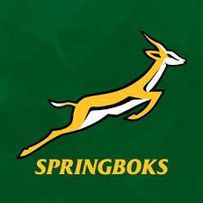 South africa's rugby team, the springboks, won the rugby world cup in 1995, 2007, and 2019. Springboks Springboks Tvitter