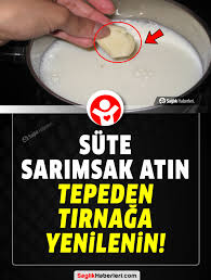 sarimsakli sut icmeye baslamaniz icin 12 harika neden dogal tedavi 2020 saglik dogal tedaviler dogal