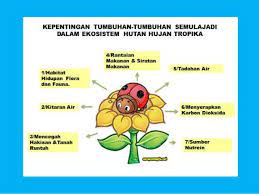 Bentuk muka bumi dan potensinya. Himpunan Nota Geografi Tingkatan 4 Yang Penting Untuk Para Ibubapa Dapatkan Cikgu Ayu