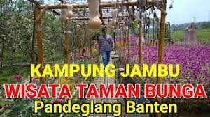Dengan meningkatnya hubungan masyarakat akan tempat rekreasi maka pada tahun 1978 sebagian kawasan tersebut seluas 37,70 ha dijadikan taman wisata. Wisata Di Pandeglang Taman Bunga Pandeglang Banten Kampung Jambu Spot Selfie Terindah Youtube