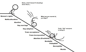 Gregory Fluhrer On Twitter This Is The Very Definition Of The Slippery Slope Fallacy With A Non Sequitor Finisher