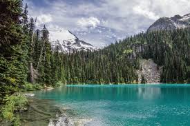 As a lakeside community our summers are bustling with locals and visitors enjoying all that the community has to offer. Top Lakes In Oklahoma That You Must Visit This Summer