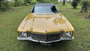 Image result for Gold 1972 Monaco