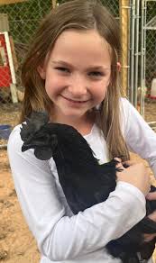 rooster and granddaughter photo