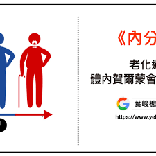 內分泌 老化過程 體內賀爾蒙會怎麼變化 aging hormones movie posters