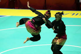We did not find results for: Teknik Dasar Pencak Silat Teknik Kuda Kuda Sikap Pasang Pola Langkah Belaan Dan Serangan Semua Halaman Bobo