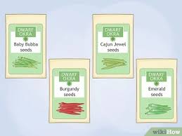 They tend to get woody and hard if left on the plant too long. 3 Ways To Grow Okra In Pots Wikihow
