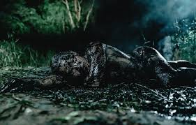 Bildergebnis für Joshua Serafin