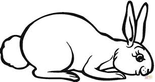 Select from 35919 printable crafts of cartoons, nature, animals, bible and many more. Hare Coloring Pages Kidsuki