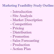 Market Feasibility Study Outline Proposal Guidelines And Samples Engineering Management Outline Risk Management Strategies