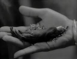 bare•bones e-zine: The Hitchcock Project-Morton Fine and David Friedkin  Part Five: The Monkey's Paw--A Retelling [10.26] and Wrapup