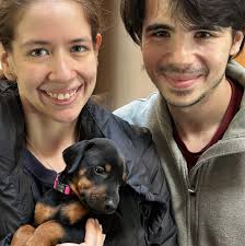 Do I need supplements to help with cartilage hardening for my Doberman's  ears?