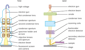 Instruments Of Microscopy Microbiology