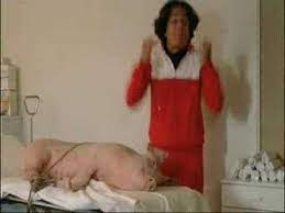 Copains comme cochons — ● copains comme cochons se dit de personnes qui vivent dans une extrême familiarité … Les Bronzes Font Du Ski C Est Copain Cochon Youtube
