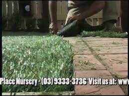 How To Install Fake Grassfake Grass Artificial Grass Diy Artificial Turf Fake Grass Installation Fake Grass