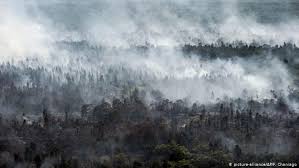 Indonesia has continued to deny responsibility for the transboundary haze and fended off offers to. Indonesia Forest Fires Spew Smoggy Haze Over Malaysia Singapore All Media Content Dw 19 09 2019
