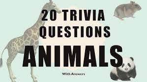 The more questions you get correct here, the more random knowledge you have is your brain big enough to g. 20 Trivia Questions History No 1 Youtube