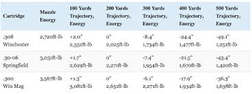 308 vs 30 06 vs 300 win mag which should you hunt with