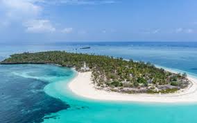 Image result for Heinsia zanzibarica