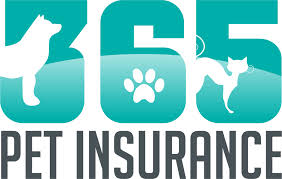 Maybe you would like to learn more about one of these? Nationwide Pet Insurance Review 365 Pet Insurance