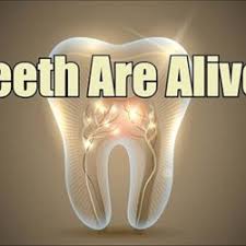 Teeth Pearltrees