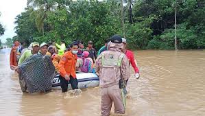 Hutan boleh dijadikan kawasan tadahan yang mampu menyerap air hujan daripada mengalir terus ke bumi.hutan jumlah air yang banyak menyebabkan air melimpah keluar dari parit menyebabkan banjir kilat berlaku. Konsep Kanalisasi Diharapkan Jadi Solusi Mengatasi Banjir Kalimantan Selatan