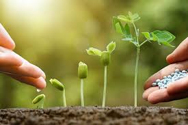 Walmart.com has been visited by 1m+ users in the past month How Useful 0 20 20 Fertilizer Is Incredibly Blow Your Mind