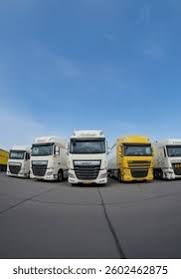 Image result for Onatra Yellow 1999 DAF
