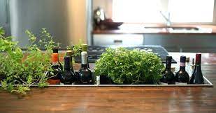 Check spelling or type a new query. Kitchen Organization 10 Inspirations To Maximize Your Kitchen Space Herb Garden In Kitchen Kitchen Herbs Herbs Indoors