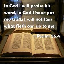 Psalm 56:4 In God I will praise his word, in God I have put my trust; I  will not fear what flesh can do to me.