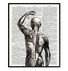 Hallways, stairwells and rooms that transition a person from one place to another are perfect places to add wall art. Amazon Com Human Anatomy Muscles Wall Art Hospital Medical Doctor Office Decor Gift For Acupuncture Massage Therapy Or Chiropractic Dr Nurse Practitioner Physical Therapist Med Student Gothic Decor Handmade