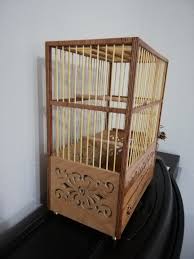 Bilgin Yavas Adli Kullanicinin Kafes Panosundaki Pin Kafes