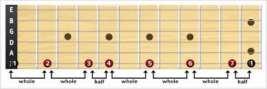 Scales are the building blocks of melody and harmony. Major Scale Theguitarlesson Com