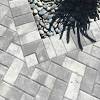 Discover the versatility of patio pavers with these 25 beautiful examples of backyard spaces designed with various types, sizes, and styles. 1