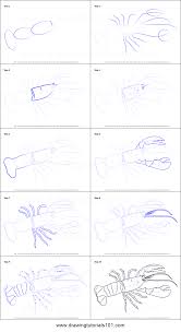 We did not find results for: How To Draw A Lobster Printable Step By Step Drawing Sheet Drawingtutorials101 Com