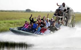 Best Florida Everglades Tours To capture the natural beauty of the everglades, take your camera to pahayokee. best florida everglades tours