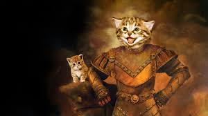 Find images of cat background. 56 Funny Background Pics On Wallpapersafari