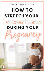 Pin On Pregnancy