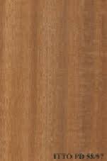 Image result for Nesogordonia