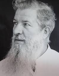 Journal of Caribbean Ornithology, Vol. 33: Lesser Black-backed Gulls (Larus  fuscus) in Saint Vincent and the Grenadines and Gren