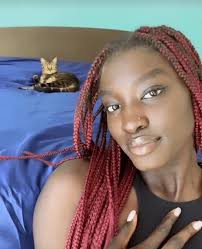 Robocoko's working Guide to WNBA Pets