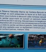 Excellent spot de snorkelling !! Le Sentier Sous Marin De Cerbere Banyuls Cerbere Aktuelle 2021 Lohnt Es Sich Mit Fotos Tripadvisor