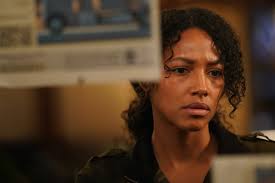 The first season originally had 10 episodes and was then extended to 16. When Will Big Sky Return From Hiatus