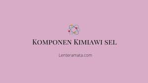Mineral berfungsi sebagai komponen struktuar sel, pemeliharaan fungsi metabolisme, pengaturan kerja enzim, dan menjaga keseimbangan asam dan basa. Yuk Cari Tahu Komponen Kimiawi Penyusun Sel Penjelasan Lengkap