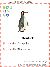 Pinguin Auf Deutsch Schrift Und Aussprache Mit Bildern