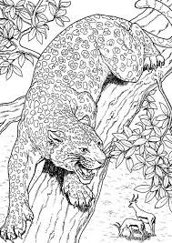 You can use our amazing online tool to color and edit the following jaguar coloring pages. Coloring Pages Angry Jaguar Coloring Pages