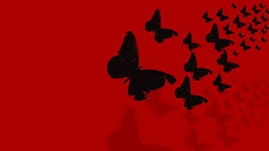1804 butterfly hd wallpapers and background images. Butterflies Background Black Free Image On Pixabay
