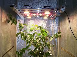 Full spectrum cf grow 29 200w w 400w led light products supply vero29 gen7 indoor vegetable and fruit and medition plant growing. Led Spider Vero 29 8 Generacia 420 Watt Growshop Growland Slovensko Vsetko Pre Bio Pestovanie