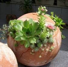 Bildergebnis Fur Keramik Garten Kugel Gartenkugeln Gartencontainer Topfgarten